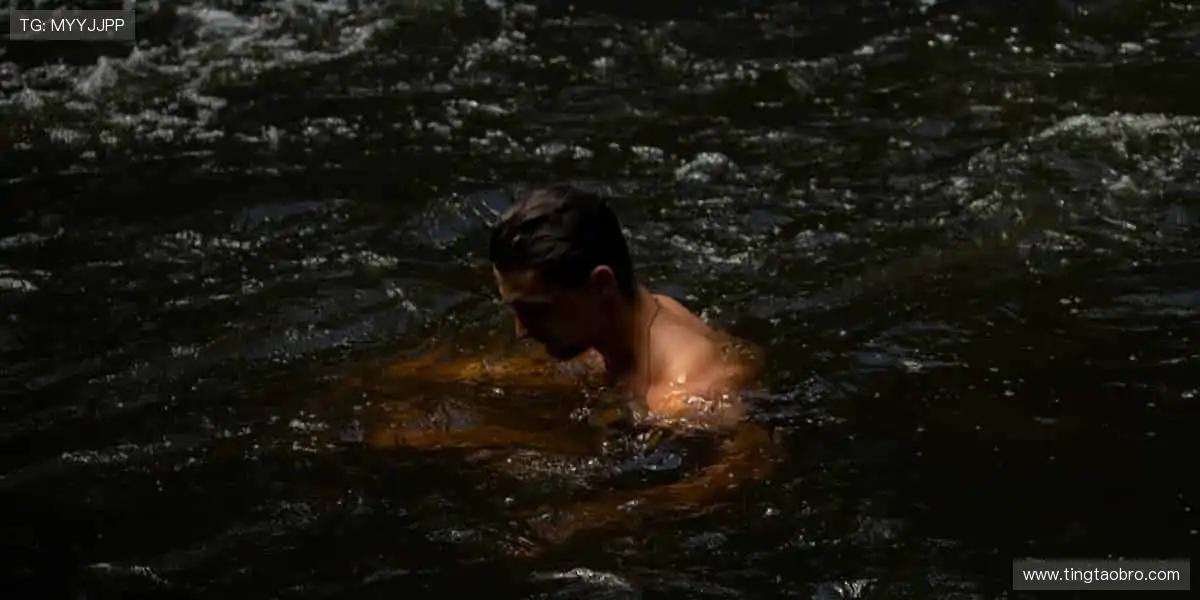 高清直播,锁定每一刻精彩!📺